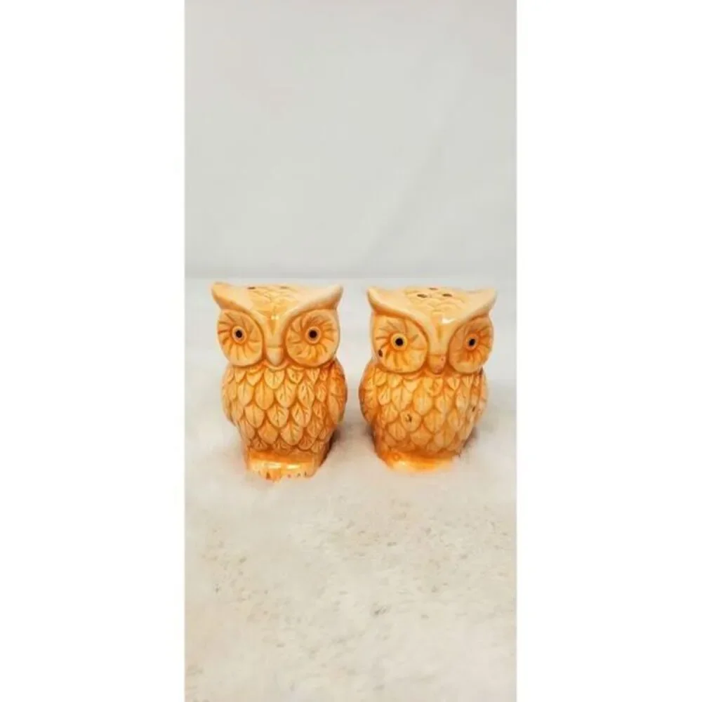 Vinrage Ceramic Owl‎ Salt And Pepper Shaker Set Beautiful